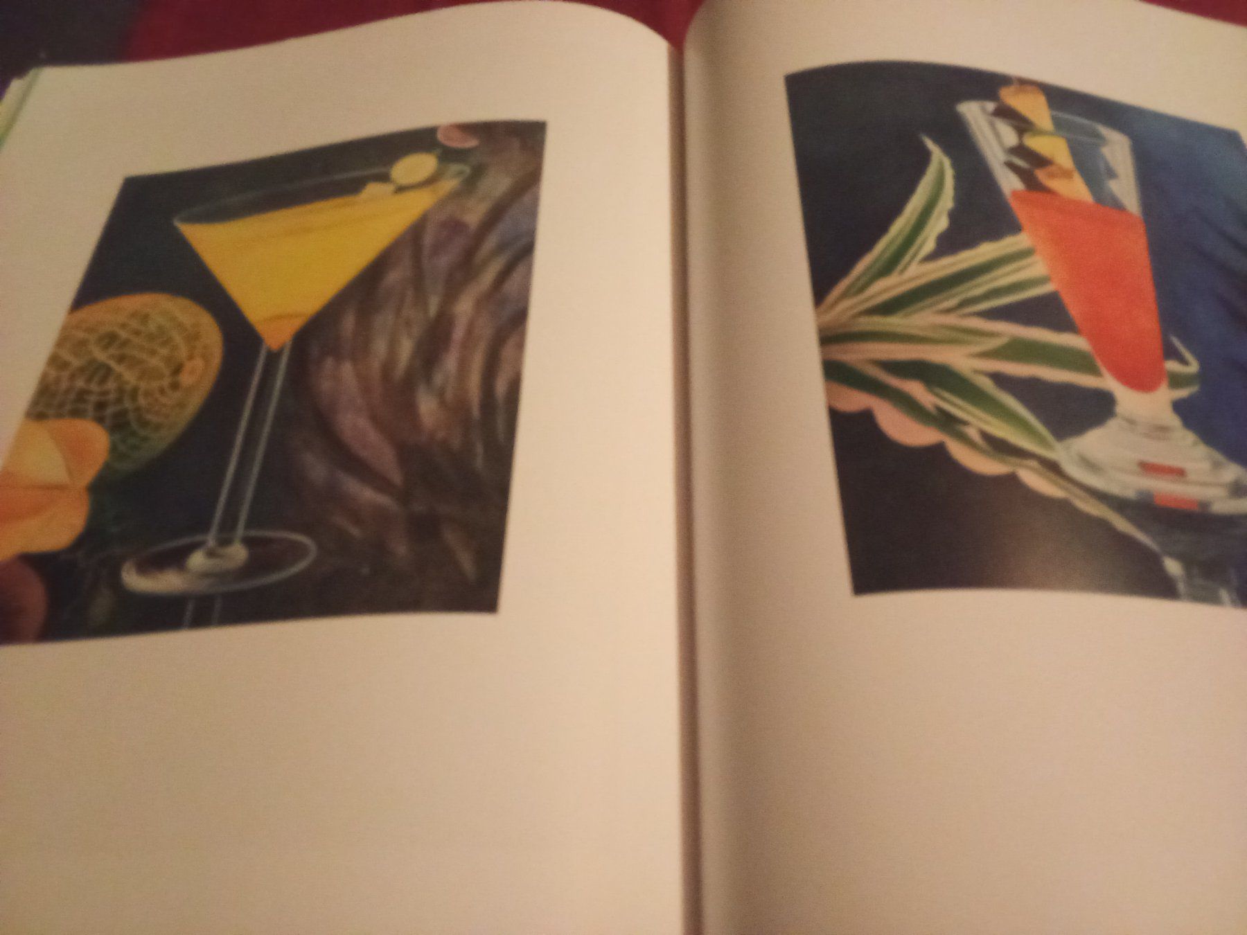 Libri: Birgit Megerle. The Painted Veil – Usato da Remetschwil venduto da Privatflohmi 5