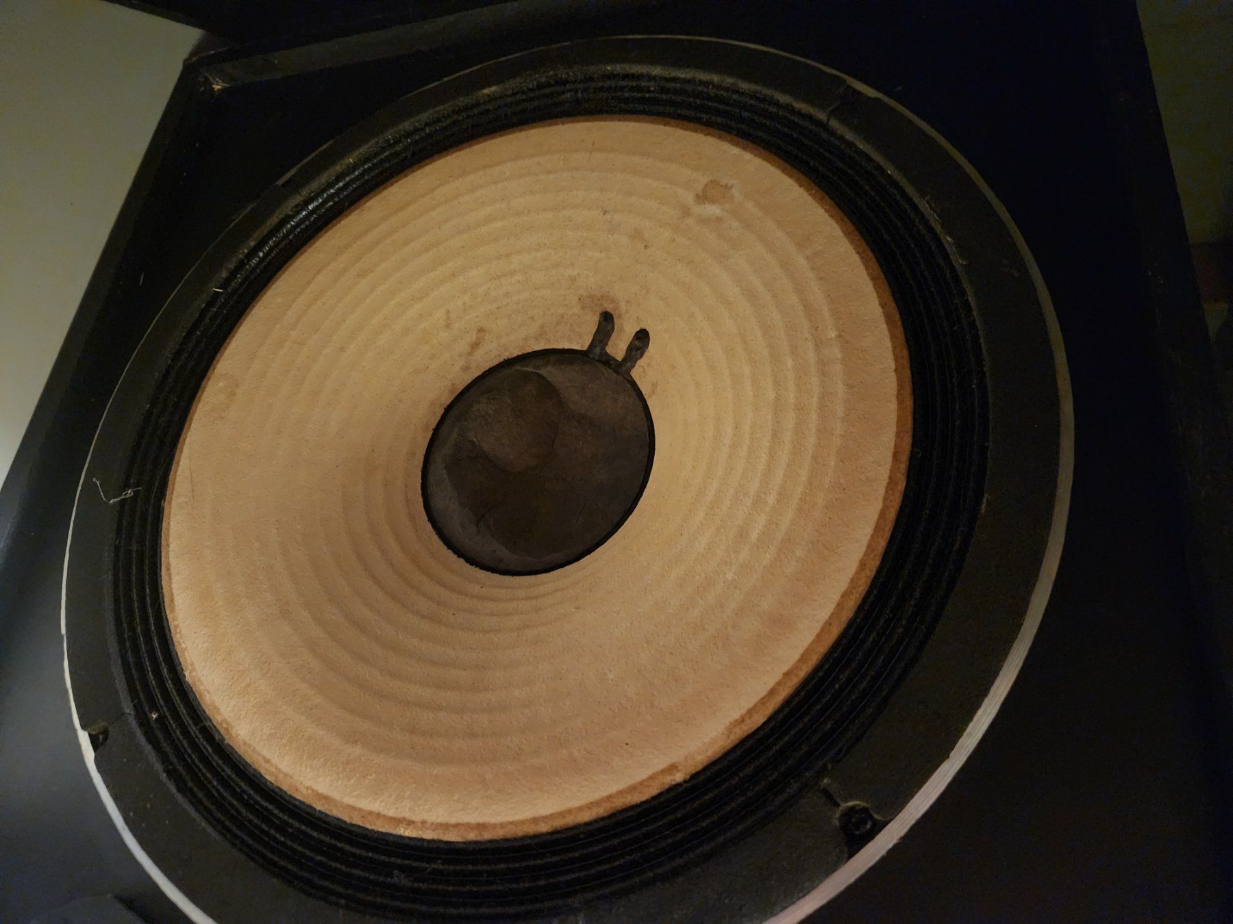 JBL Casse acustiche: JBL 4312A Studiomonitor – Difettoso da Basel venduto da clear 3