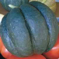 Melon Noir des Carmes ( très ancien ) 15g
