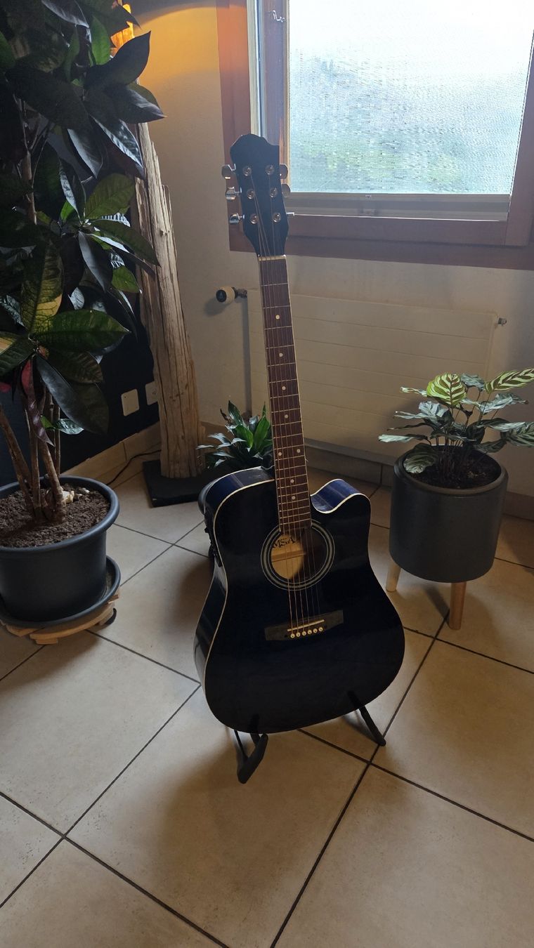 Strumenti musicali: Country Westenrn Gitarre – Usato da Seewis Dorf venduto da ChrigiG