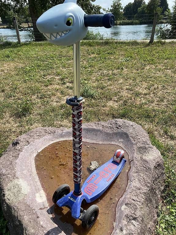 Kickboard: Micro Maxi Scooter trotti mit coolen accecoires – Gebraucht aus Wangen an der Aare von zarteflunder 3