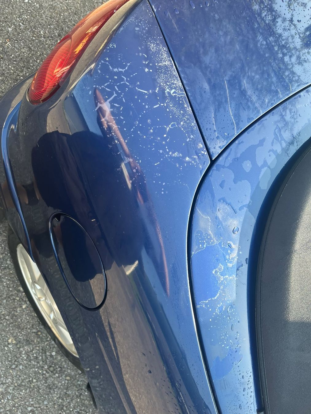 Renault Automobili: Renault Megane Cabrio  – Usato da Unteriberg venduto da Foxcross 9