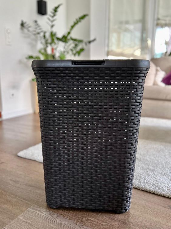 Paniers à linge: Wäschekorb Wäschetonne Wäschebehälter mit Deckel Rattanoptik – D'occasion à Balzers par ste_v6vc 2