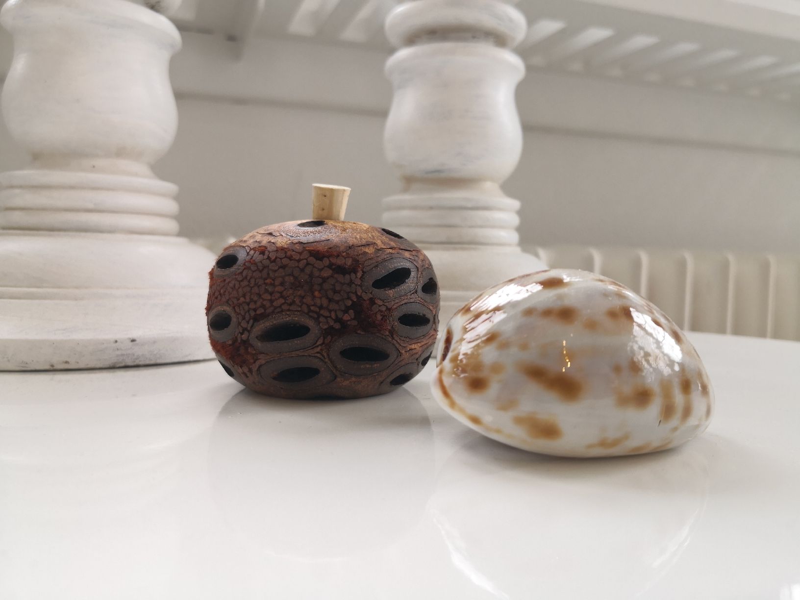 Tutte le decorazioni: 🤩BANKSIA ÄTHERISCHER ÖL DIFFUSER AUS AUSTRALIEN RAR – Nuovo (secondo la descrizione) da Olten venduto da Naja-Twins-Twins 5