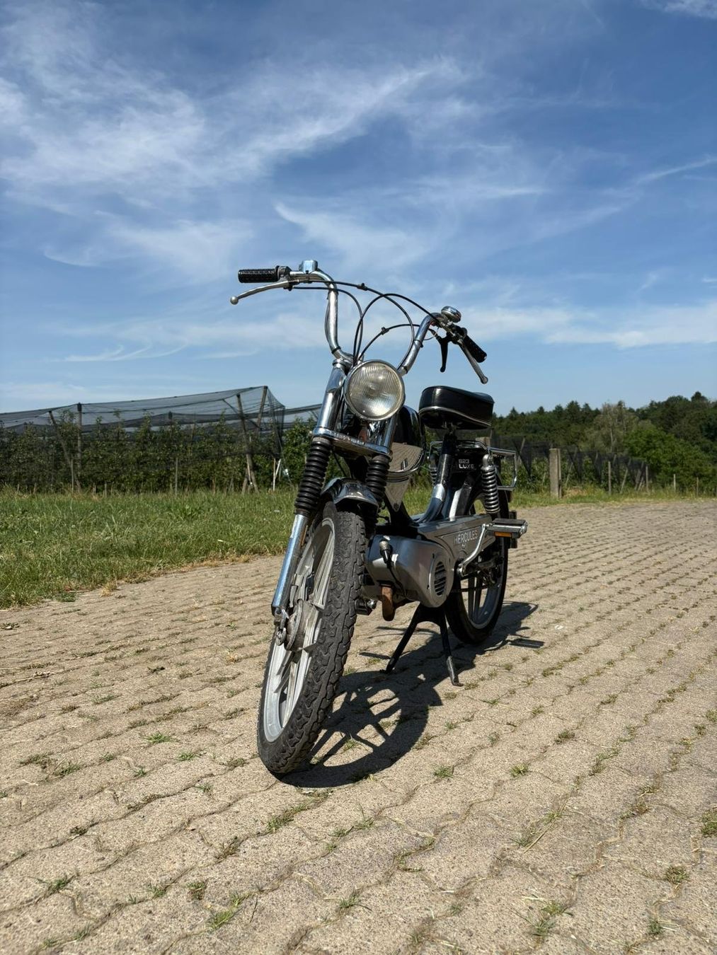 Hercules Ciclomotori: Hercules Sachs 623 CH Luxe – Usato da Muri AG venduto da sam_qfg9 1