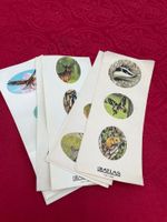 Mehrere Tier Kleber ATLAS