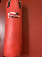 Powerzone Boxsack