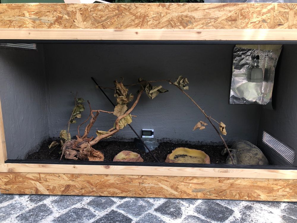 Elegantes Terrarium Mit Heizung Bild