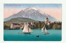 Postkarte 1914 Spiez mit Niesen