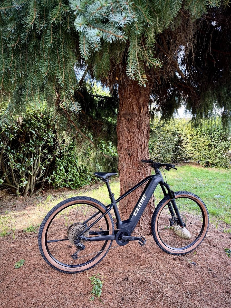 Cube Biciclette: CUBE Reaction SL  Bosch Performance Line CX, 750 Wh – Usato da Bern venduto da ser_7vtn 2