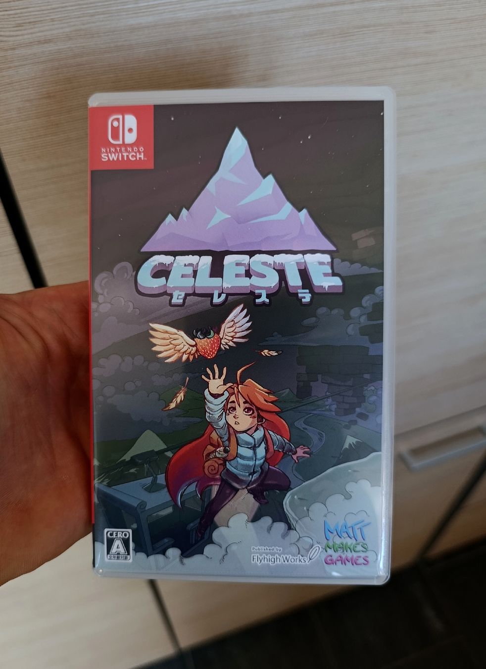 Nintendo Giochi: Celeste Nintendo Switch Japan Version – Usato da Wil SG venduto da Donaldus
