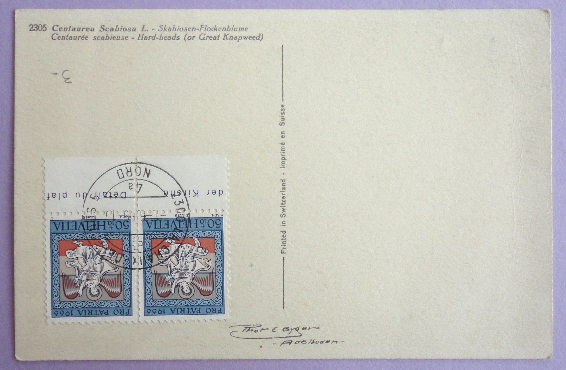 Cartoline postali: Centaurée scabieuse – Usato da Fétigny venduto da Billy2miny 1