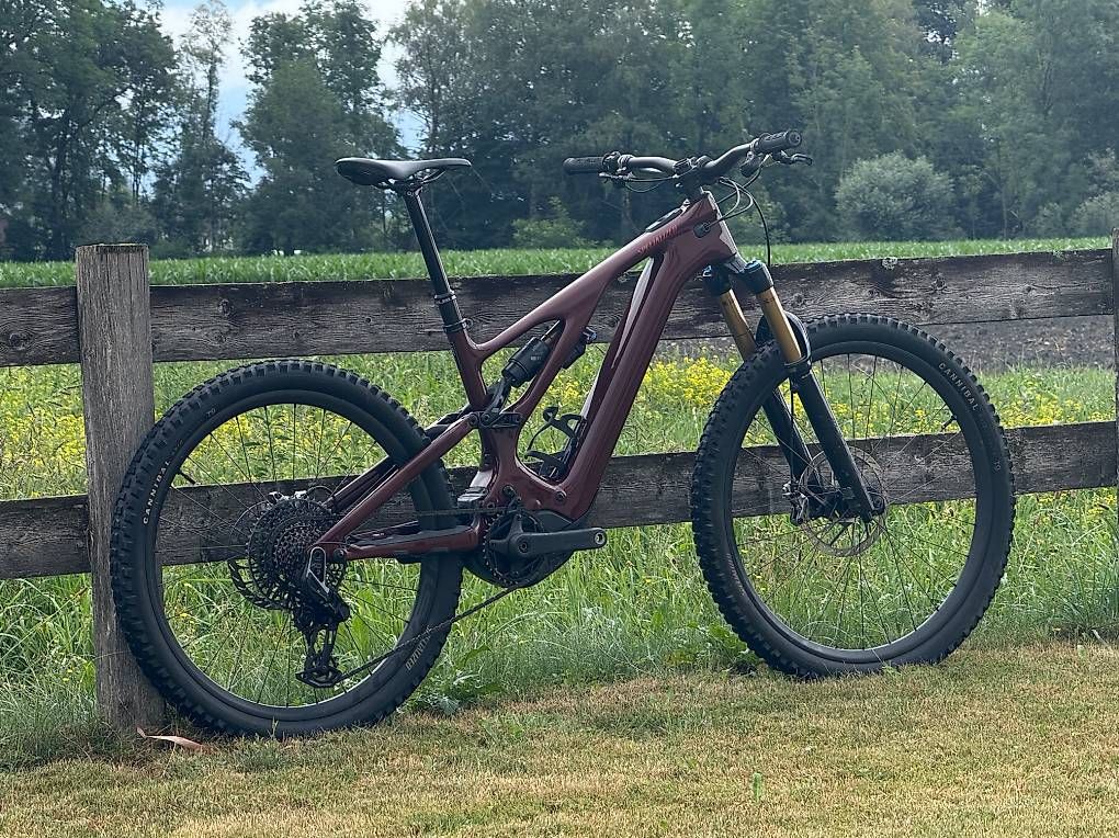 Specialized Biciclette: Specialized Turbo Levo Pro, S4, ab Service, mit 2 Batterien – Usato da Zug venduto da SaMa7320 1