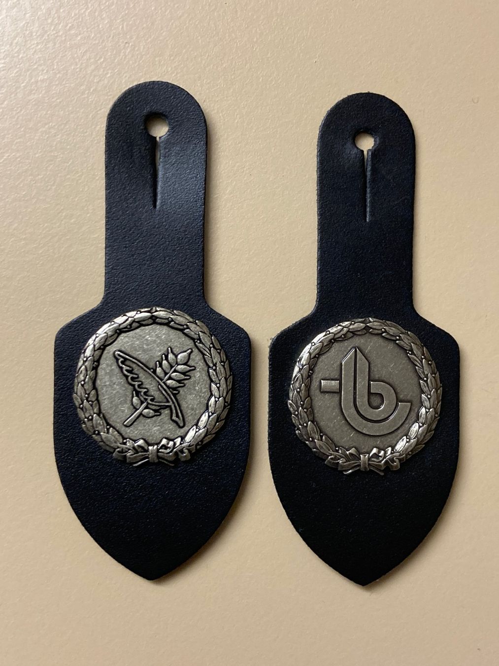 Schweizer Armee Placchette & Badge: 2 Funktionsabzeichen / Brustanhänger - Schweizer Armee – Usato da Brütten venduto da Hst1