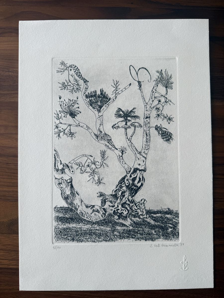 Grafica & Litografie: Radierung | 34.5x24.5cm – Usato da Solothurn venduto da NUVICO