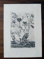 Radierung | 34.5x24.5cm