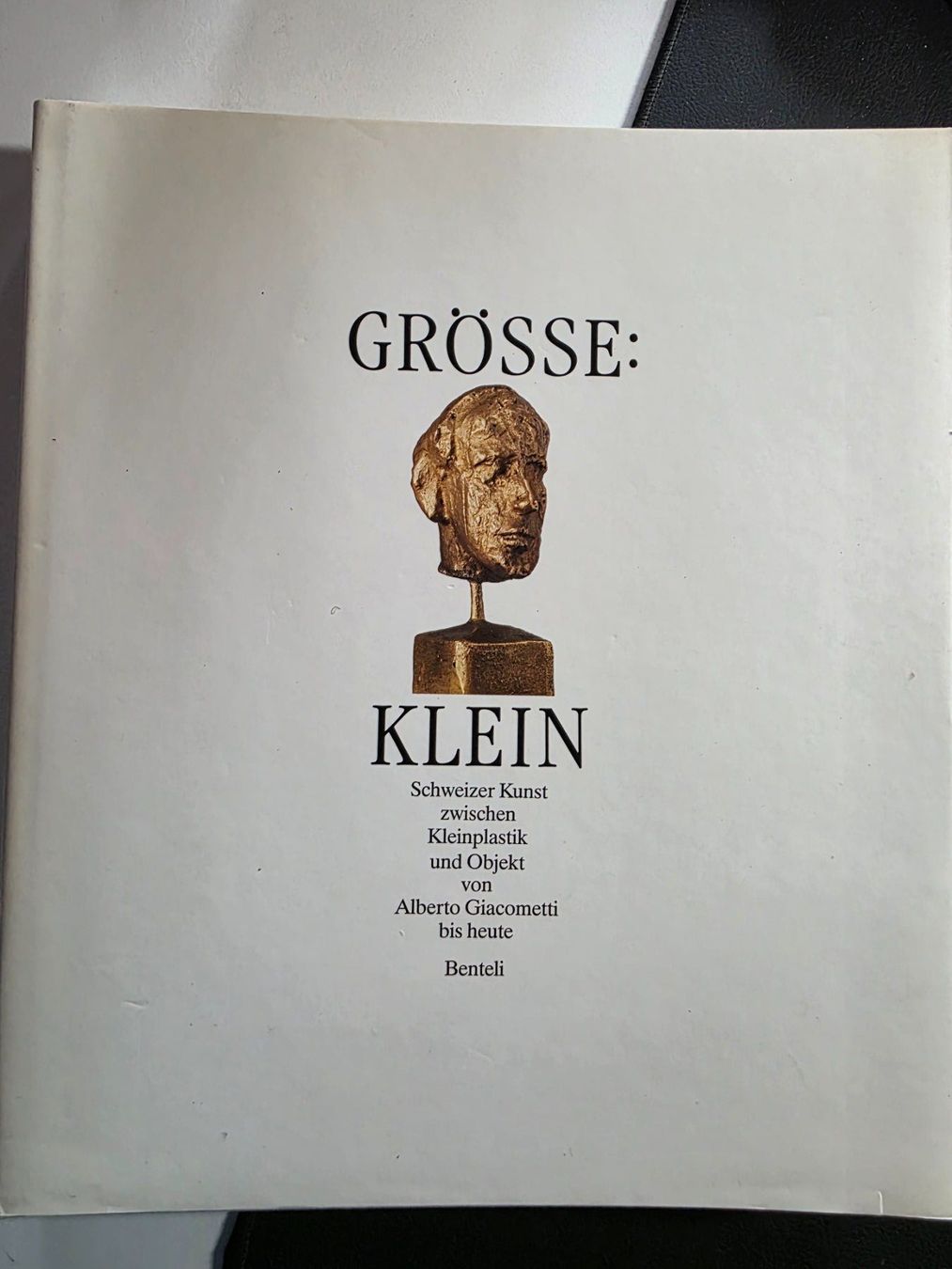 Livres: Grösse : Klein - Schweizer Kunst - 1989 Dimension Petit – D'occasion à Walterswil BE par Lonitti