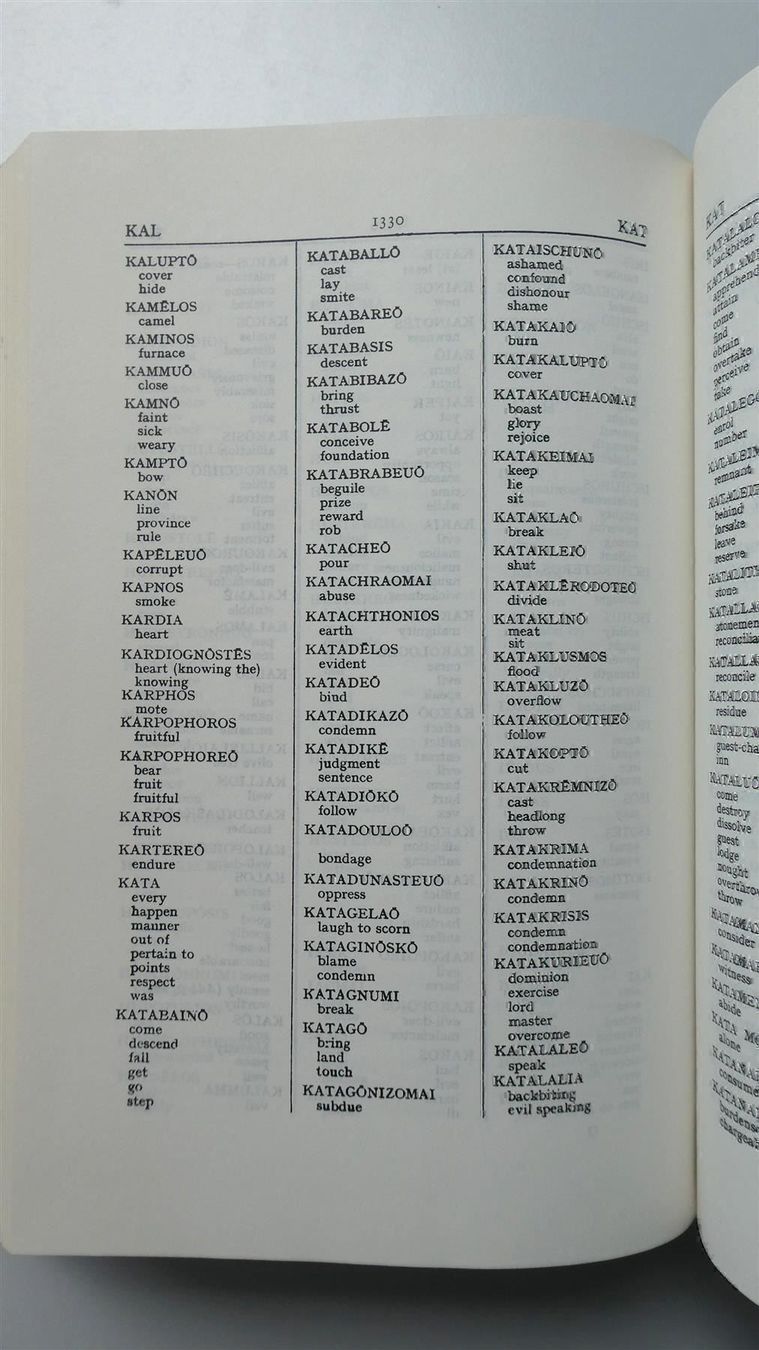 Libri: Vine Dictionary Wörterbuch Neues Testament – Usato da Frauenfeld venduto da Astra13 6