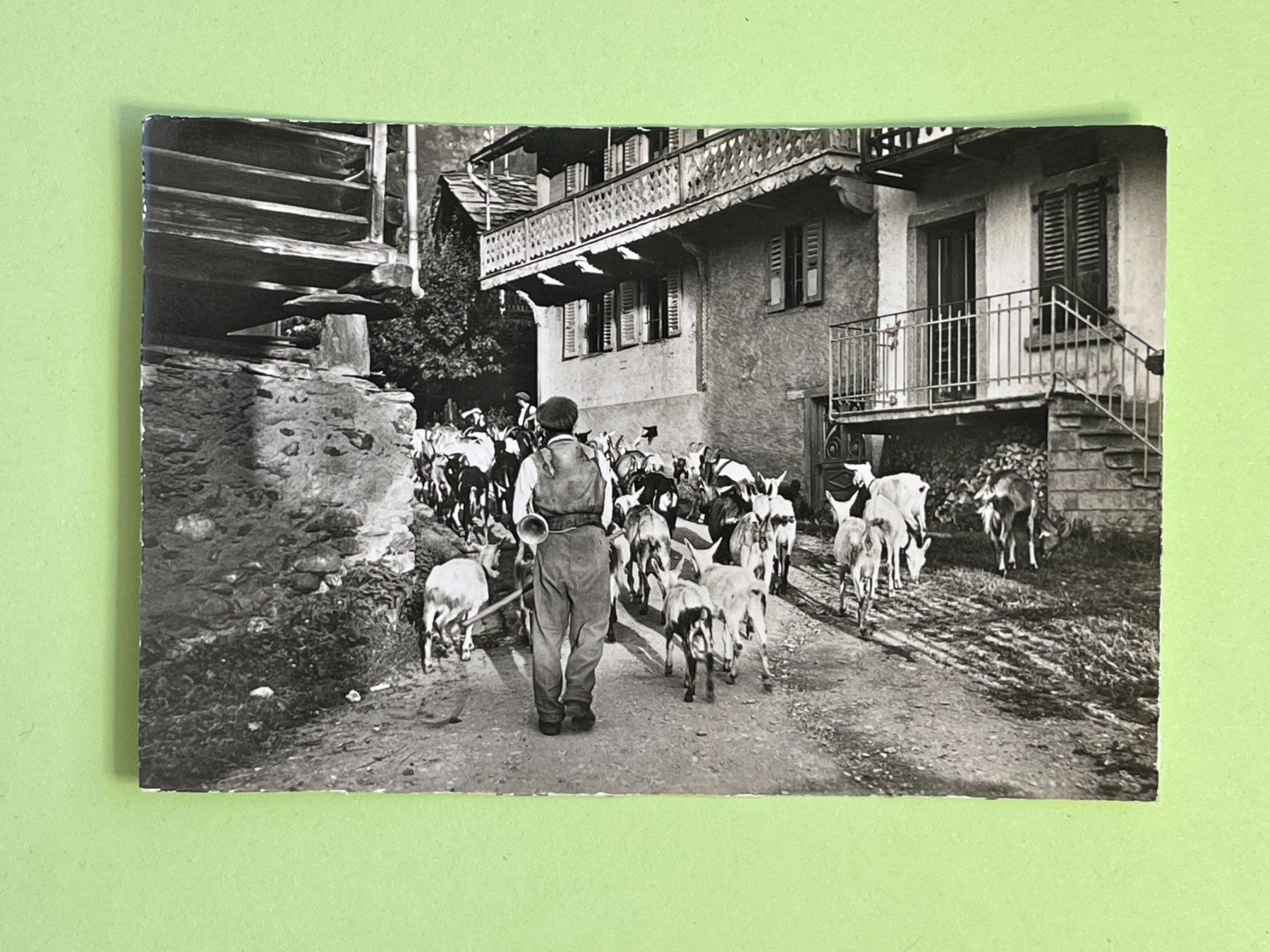 Cartoline postali: Aux Marécottes - chèvres – Usato da Steg VS venduto da danwer74