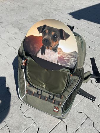 Dogs Creek Wanderrucksack Olivin 40l – Hunderucksack