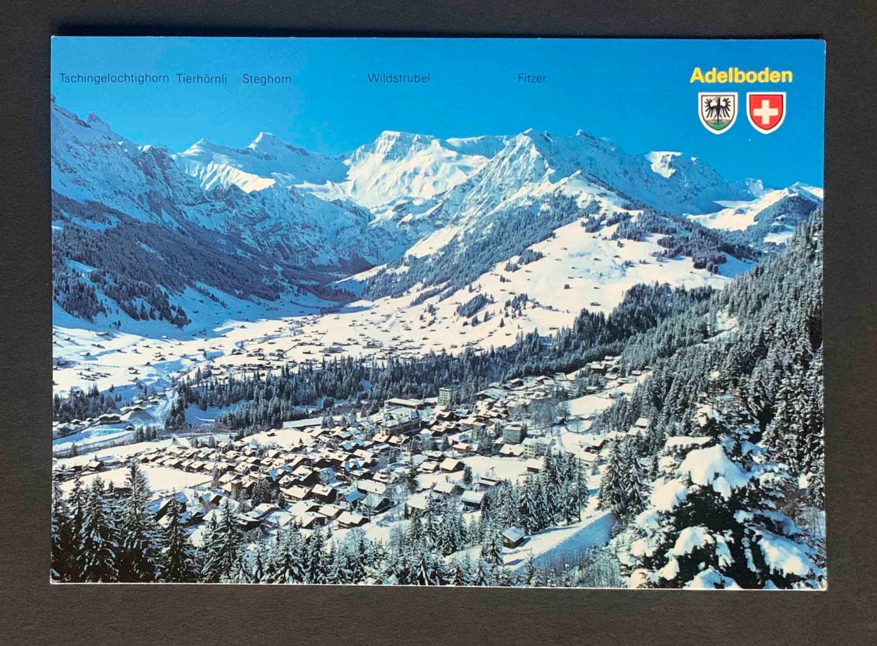 Cartoline postali: AK Adelboden Berner Oberland – Usato da Goldau venduto da artelier1