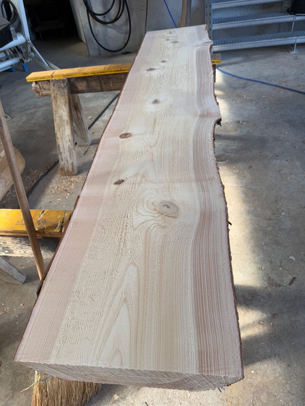 Articoli in legno: Thuja klotzbretter ganzer Stamm – Usato da Holziken venduto da Timbergrizzly 1