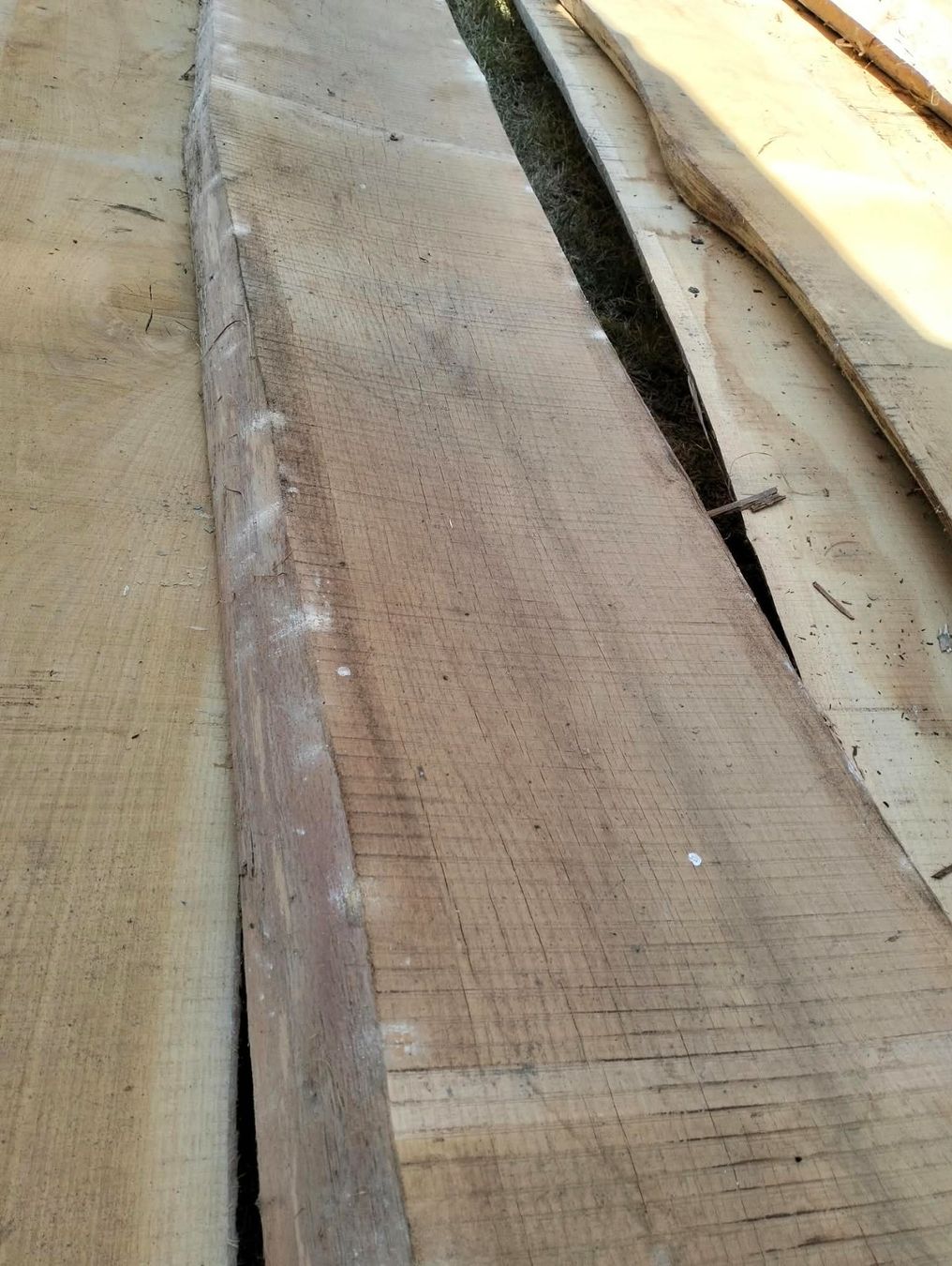 Articoli in legno: Eichenbretter – Usato da Chur venduto da ivon68 4