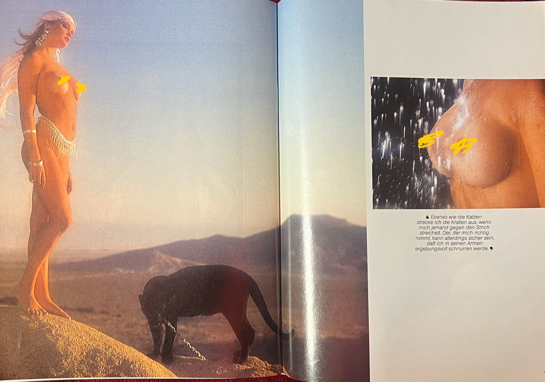 Riviste & Magazine: PENTHOUSE  D 07/1990 original Ausgabe – Usato da Uster venduto da Mr.Twister 6