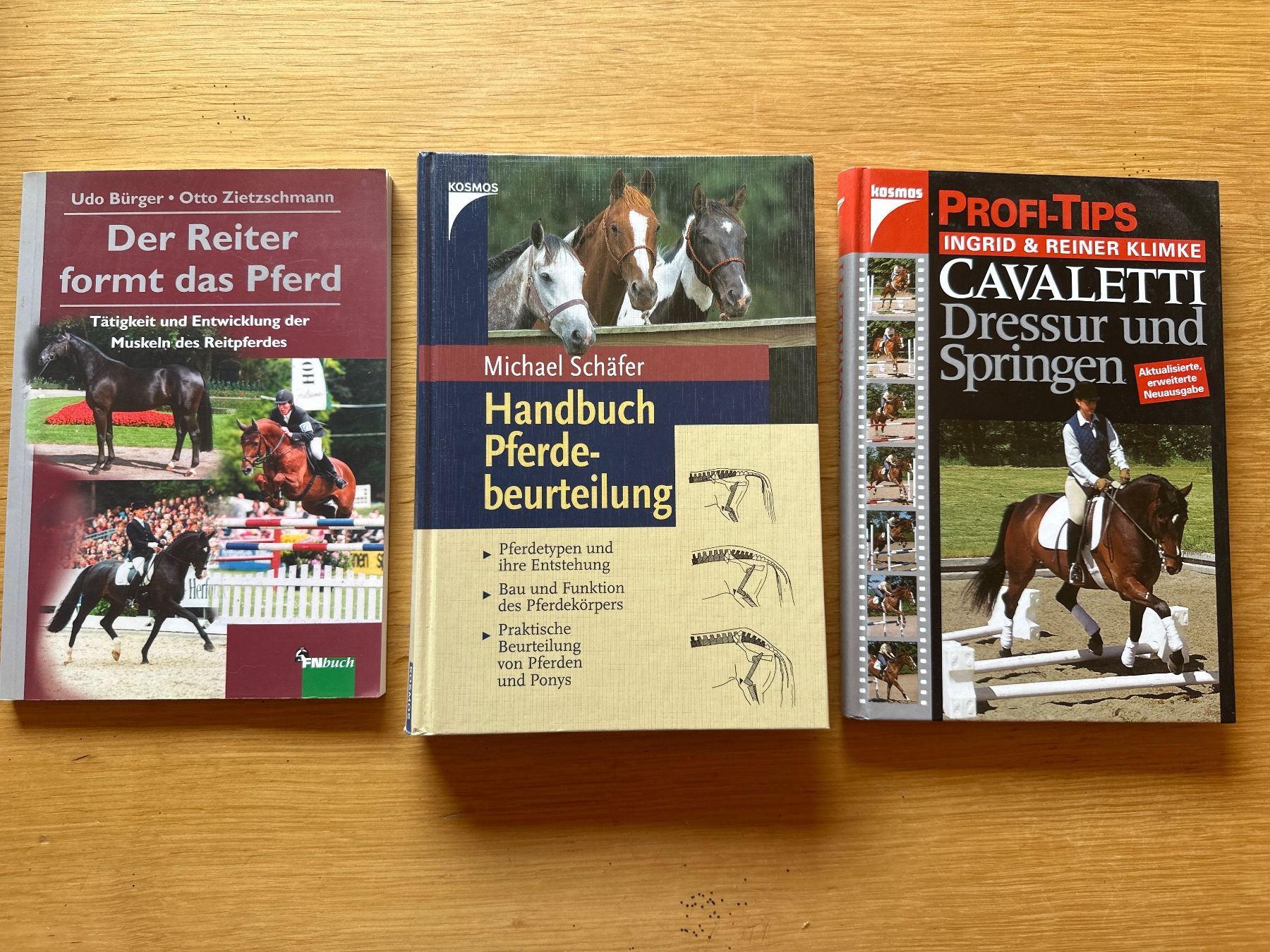 Bücher: Pferdebücher-Set: Pferdebeurteilung Ausbildung Cavaletti – Gebraucht aus Zürich von earlybird13