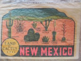 Lindgren-Turner Abziehbild NEW MEXICO CACTUS Original Verp