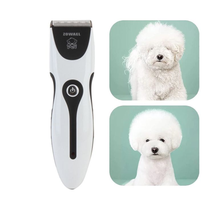 Prodotti per la cura & articoli per la pulizia: Trimmer Schermaschine f. Hunde Katzen – Nuovo (secondo la descrizione) da Thun venduto da Newnewshop