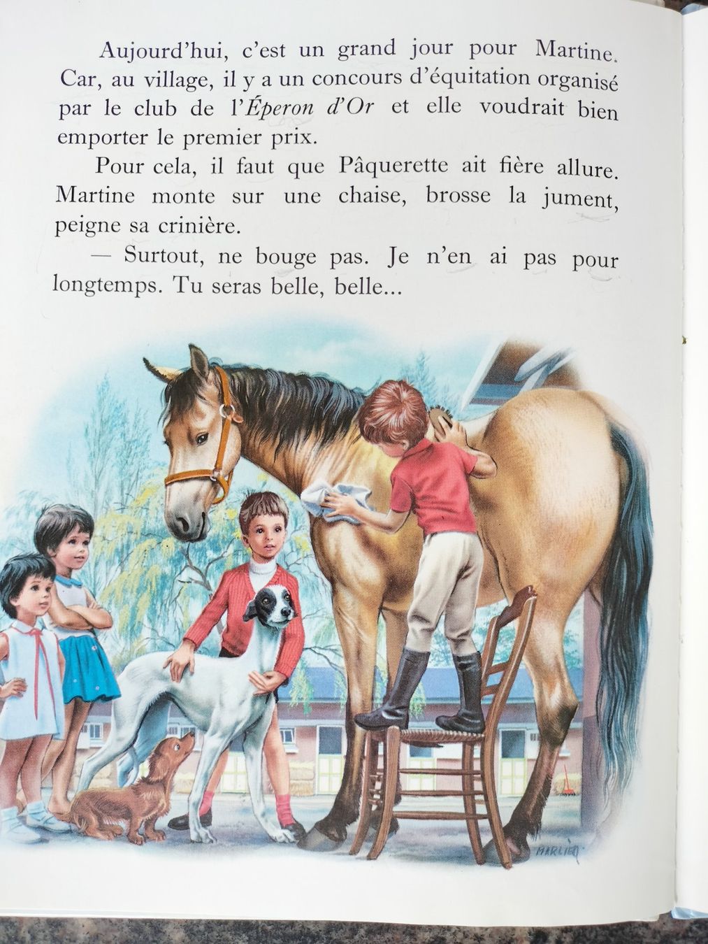 Libri: Martine monte à cheval – Usato da Cortaillod venduto da rozinna 7