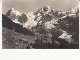 Wengen Mettlenalp ca. 1930