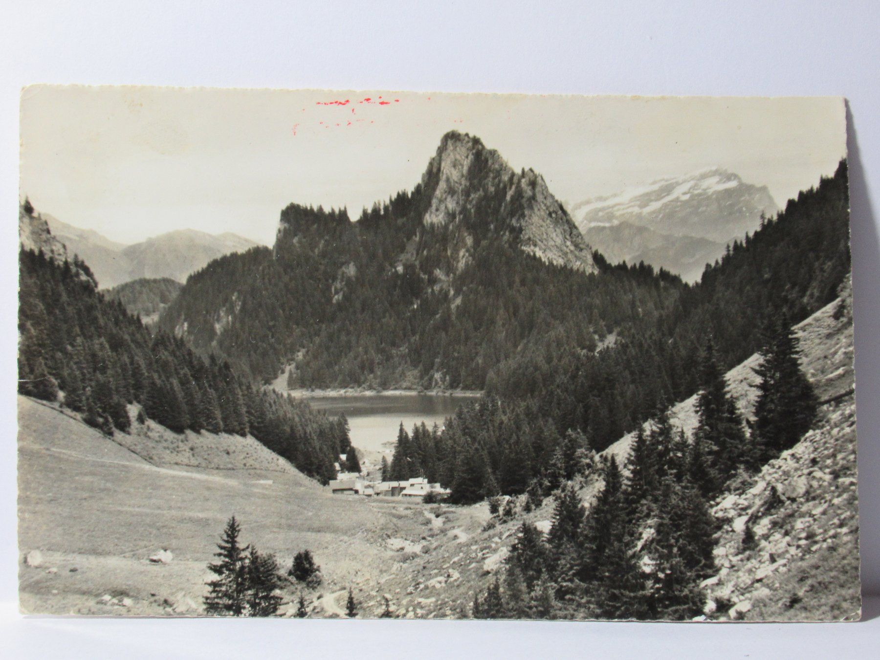Cartoline postali: Le Lac Tanay s/ Vouvry  1963 – Usato da Grenchen venduto da Bluemchen1900