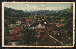 Zell, Teilansicht mit Fernblick aus der 