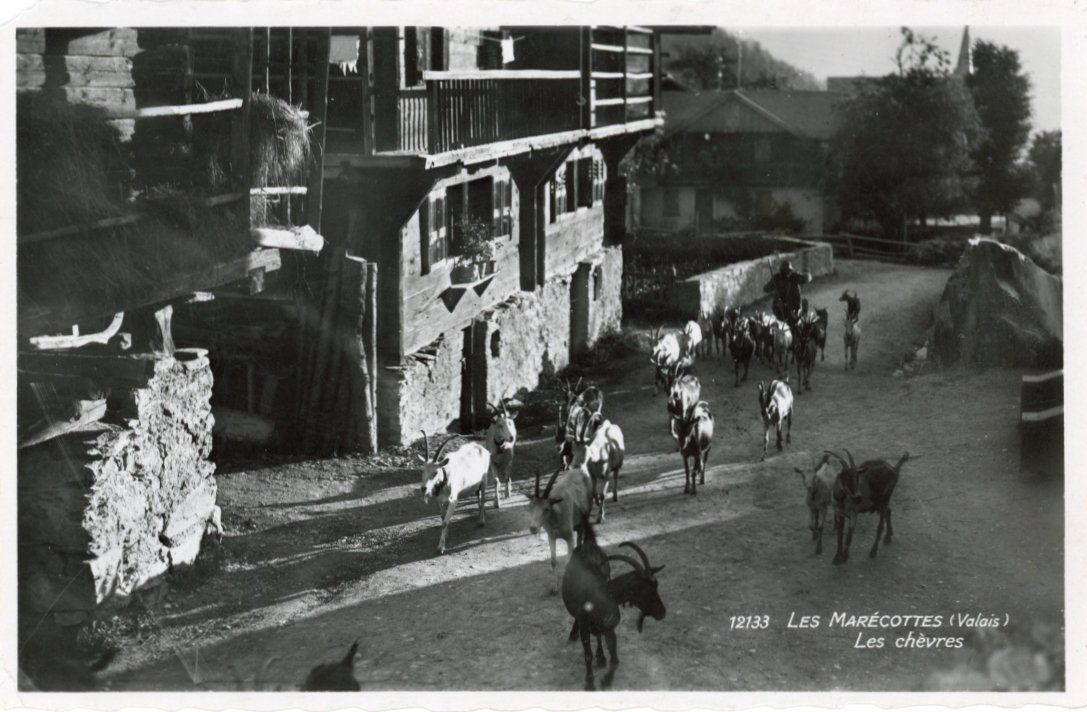 Cartoline postali: Les Marécottes   VS   -    Les chévres – Usato da Brig venduto da Valcards54