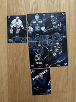 SportZoo Power House Ambri Piotta