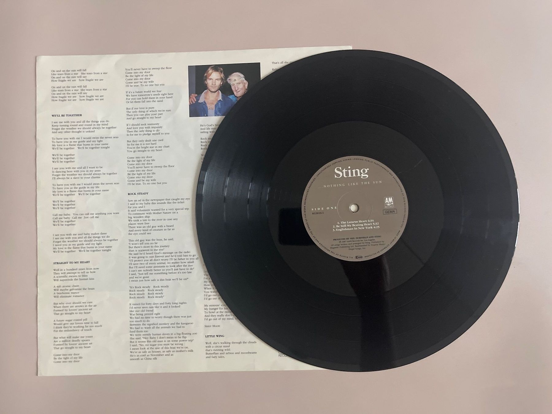 Schallplatten: Sting –  ...Nothing Like The Sun VG+/VG+ – Gebraucht aus Zürich von bkudrzycki 2