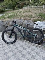 Trek Remedy