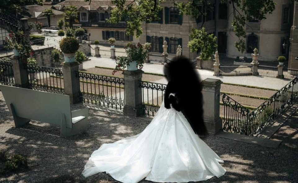 Vestiti: Brautkleid Kleid – Nuovo (secondo la descrizione) da Dänikon ZH venduto da tug_m9b6 1
