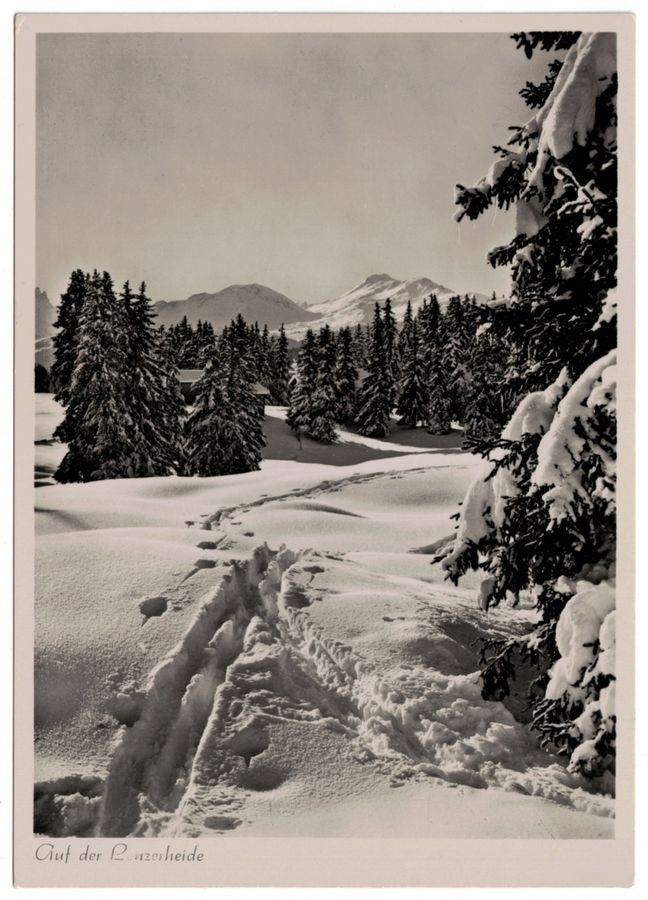 Cartoline postali: Auf der Lenzerheide – Usato da Frauenfeld venduto da POML