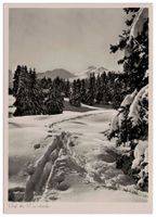 Auf der Lenzerheide