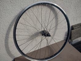 Shimano XTR Laufrad hinten neu eingespeicht mit DT Speichen