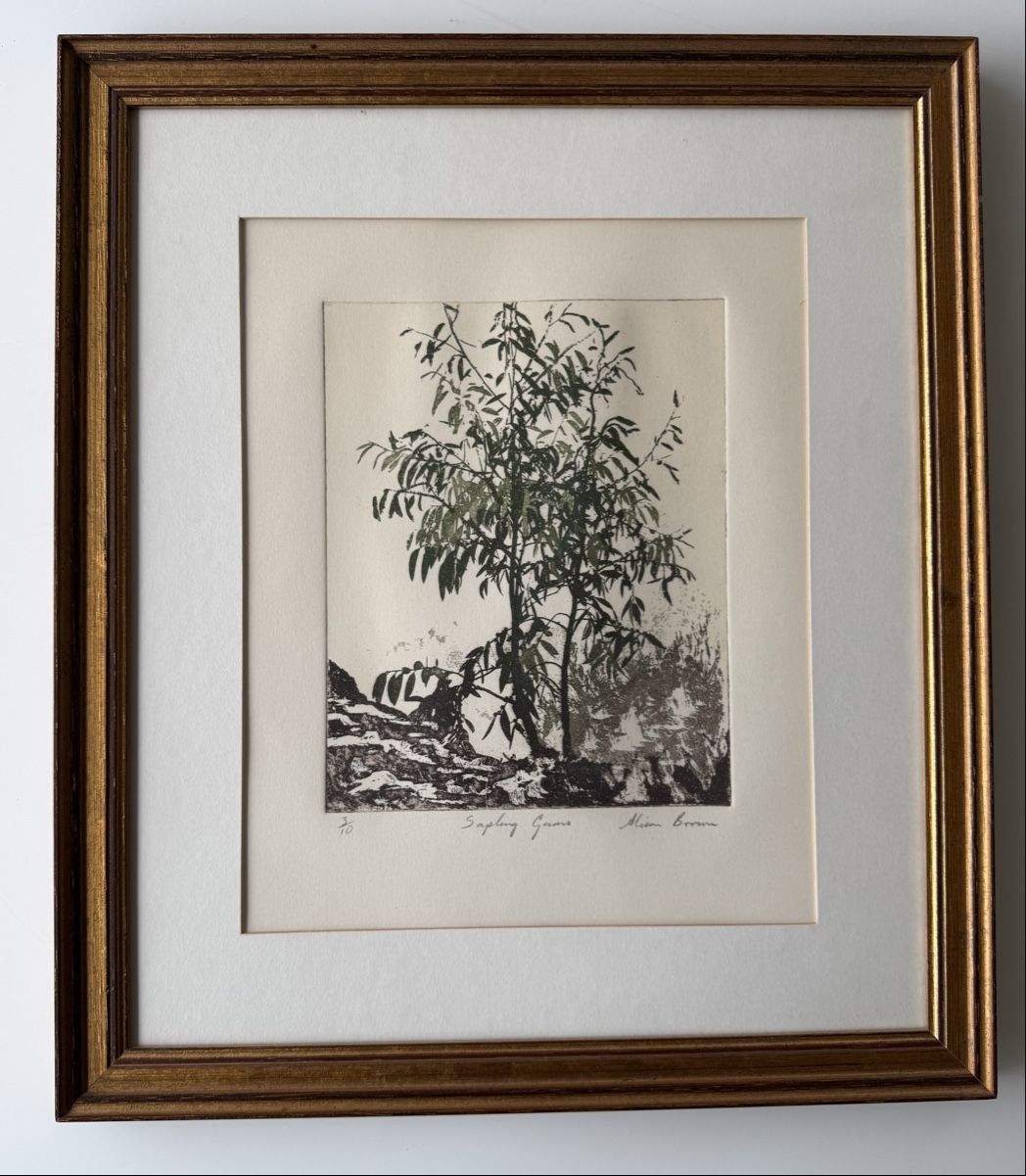 Foto & Immagini: Alison Brown Linolschnitt – Usato da Schaffhausen venduto da Agostina105