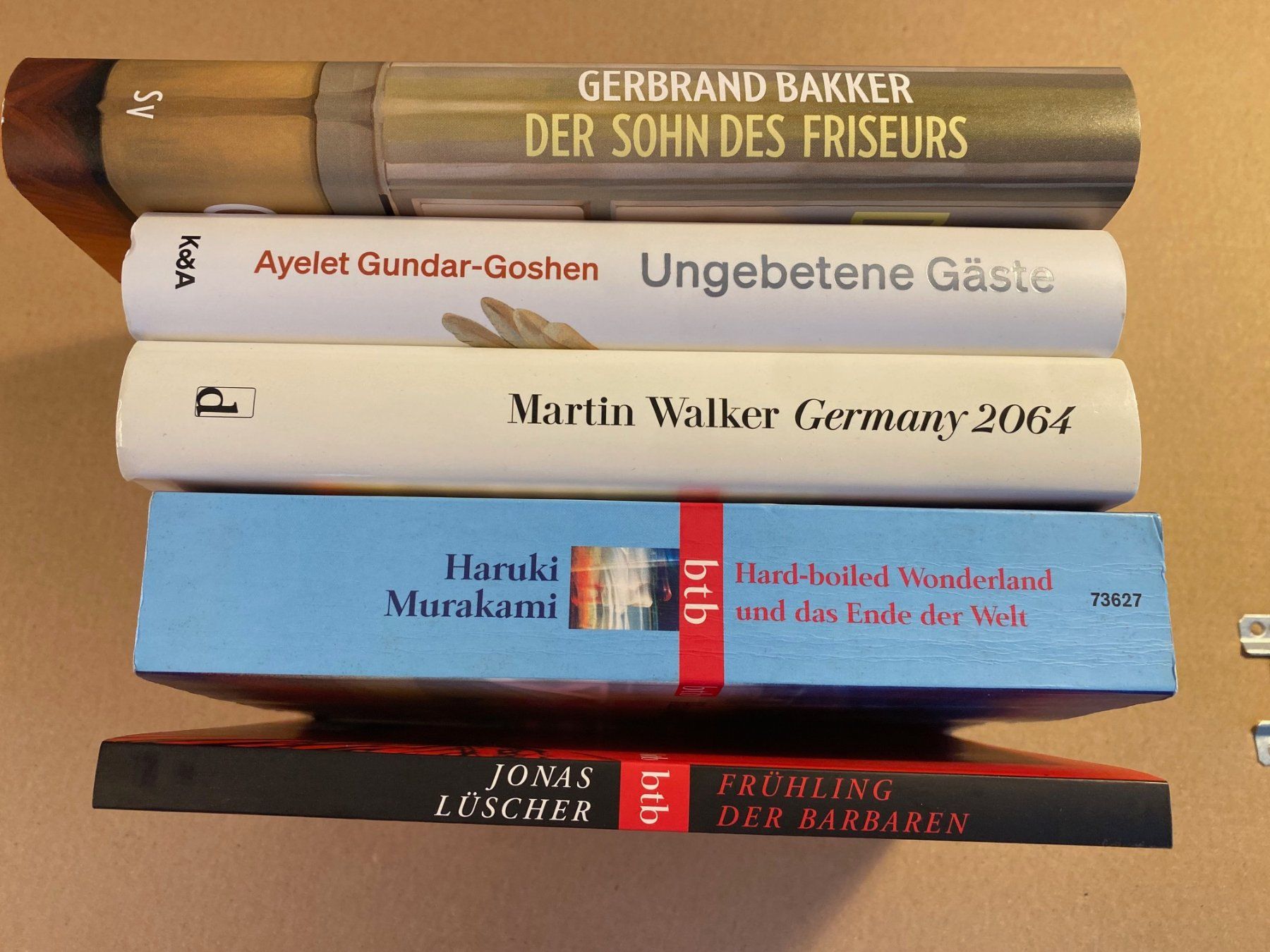 Libri: 5 neuwertige deutschsprachige Bücher – Nuovo (secondo la descrizione) da Hölstein venduto da Chabischrut 2