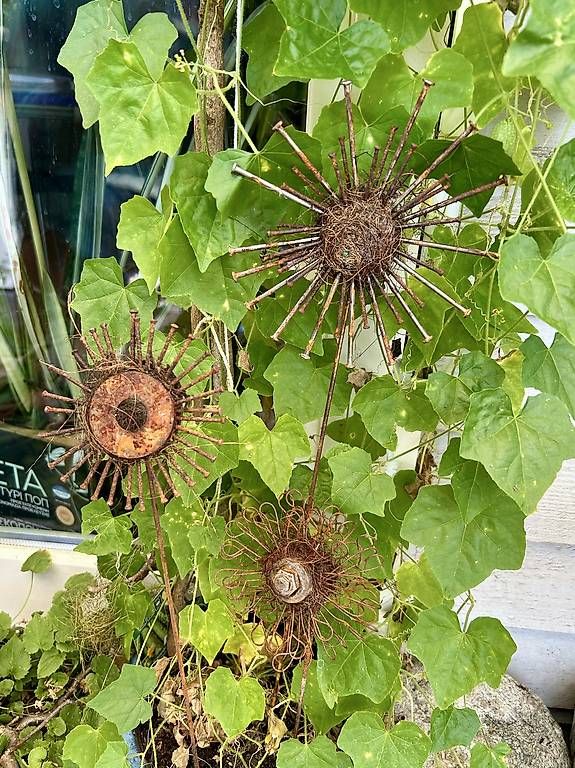 Alle Dekorationen: 1 Deko Blume  – Neu und originalverpackt aus Frauenfeld von ire_q29k