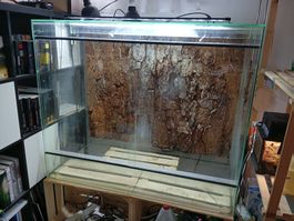 Terrarium 120cm x 100cm x 60cm