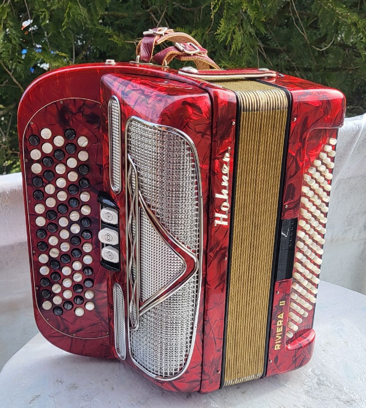 Musikinstrumente: Accordéon hohner Riviera II – Gebraucht aus Penthalaz von EvandroLuz 1