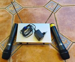 TS-3310 Dual kabelloses Mikrofonsystem VHF