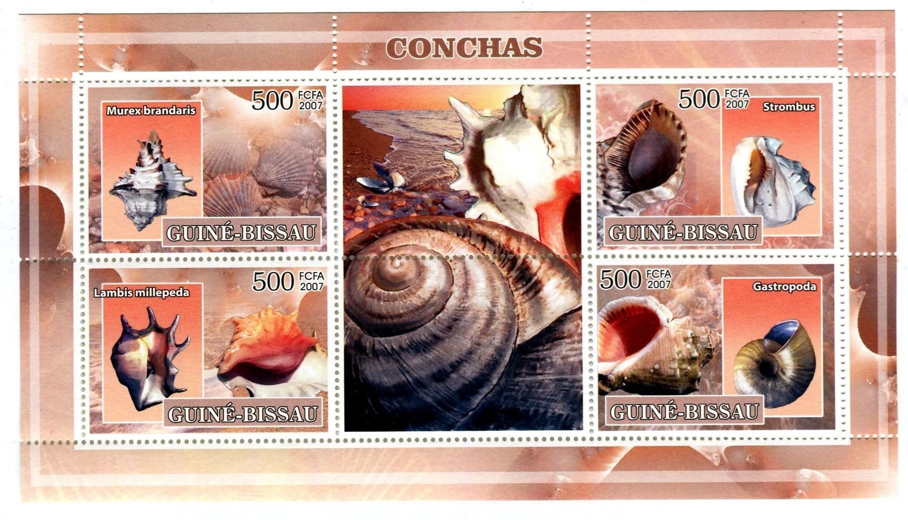 Tutti i francobolli: Block "Muscheln". Guinea-Bissau. – Nuovo e nell'imballaggio originale da Basel venduto da Butsch5